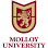 Blue Point Molloy University Moving Company