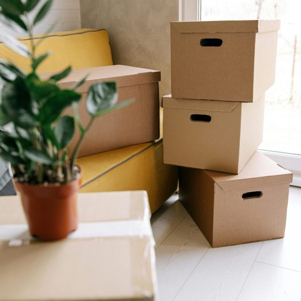 Deer Park Moving Company Deer Park Moving Company